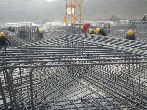 向日葵视频app网站进入免费视频